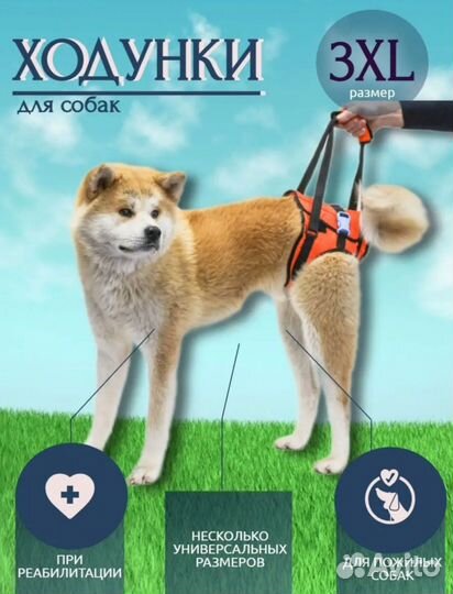 Ходунки для крупных/средних собак,поддержка лап