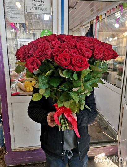 Розы, букет цветов 101 роза