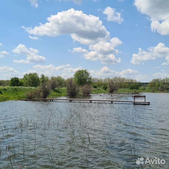 Рыбалка в Красновке