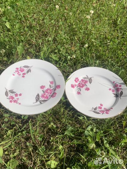 Тарелки СССР