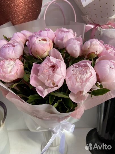 Гортензия 1-500