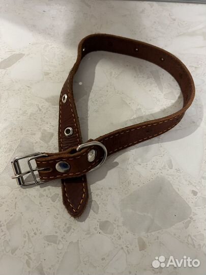 Ошейник для собак