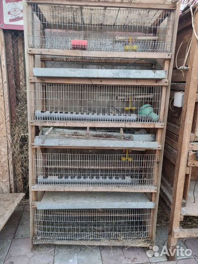 Продам клетки