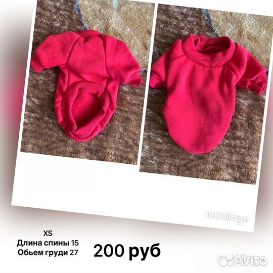 Одежда для животных