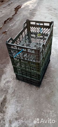 Ящики пластиковые