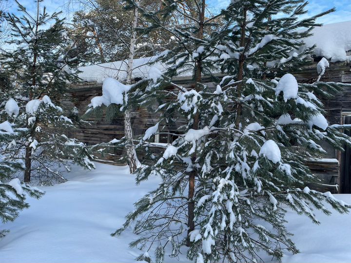 Свободного назначения, 348.7 м²