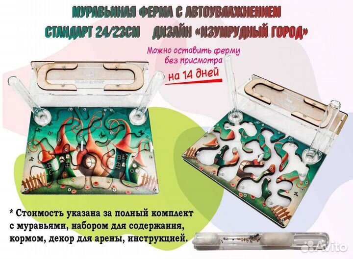Формикарий с муравьями. Муравьиная ферма