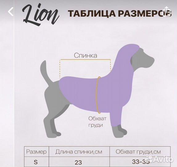 Одежда для собак