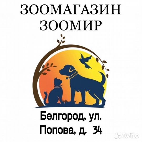 Корма для животных