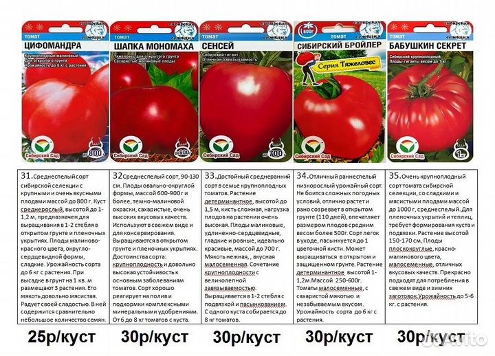 Рассада помидор томатов среднерослых,полудетерм