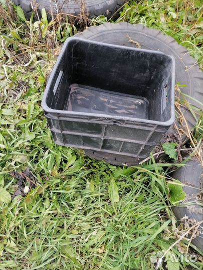 Пластиковые ящики для овощей бу