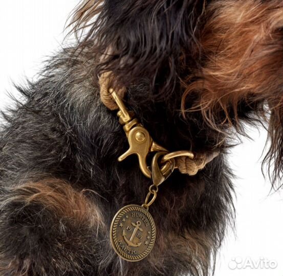 Hunter list и Hurtta. Поводки, ошейники