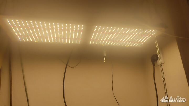 Квантумборд