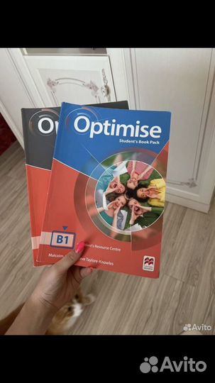 Английский язык В1