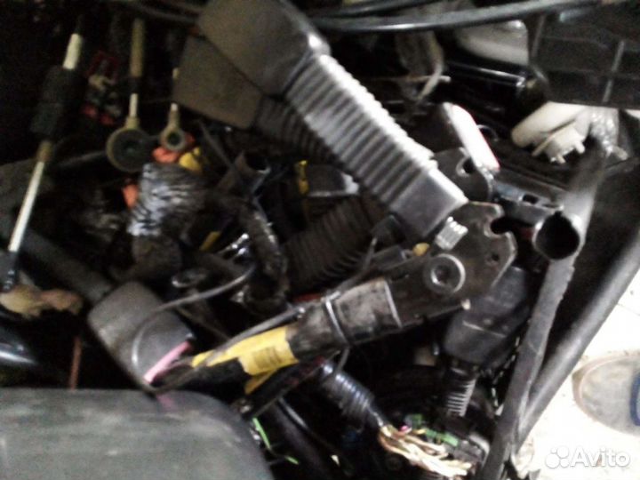 Ford focus 2 застежки ремня безопасности