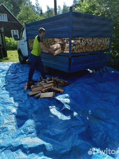 Дрова колотые березовые