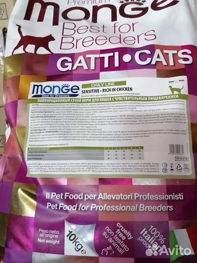 Monge sensitive/kitten