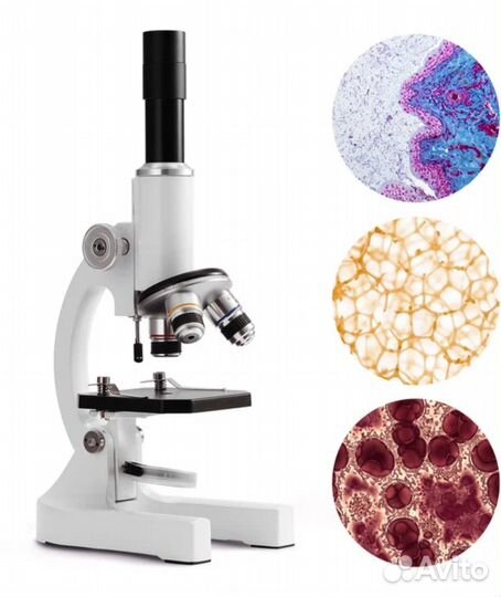 Микроскоп Meterk 2400
