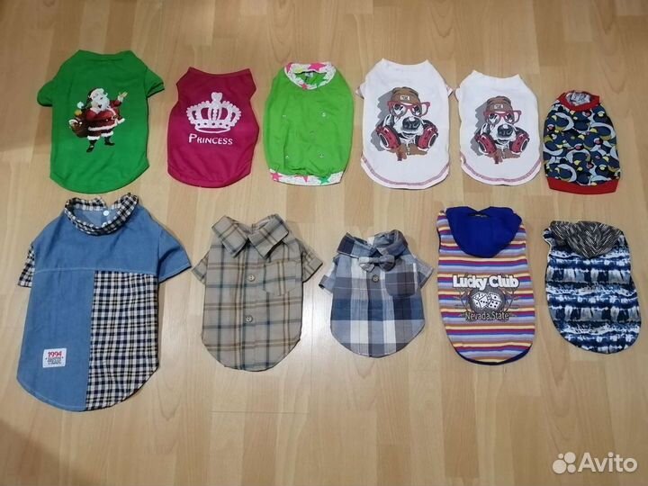 Одежда для собак