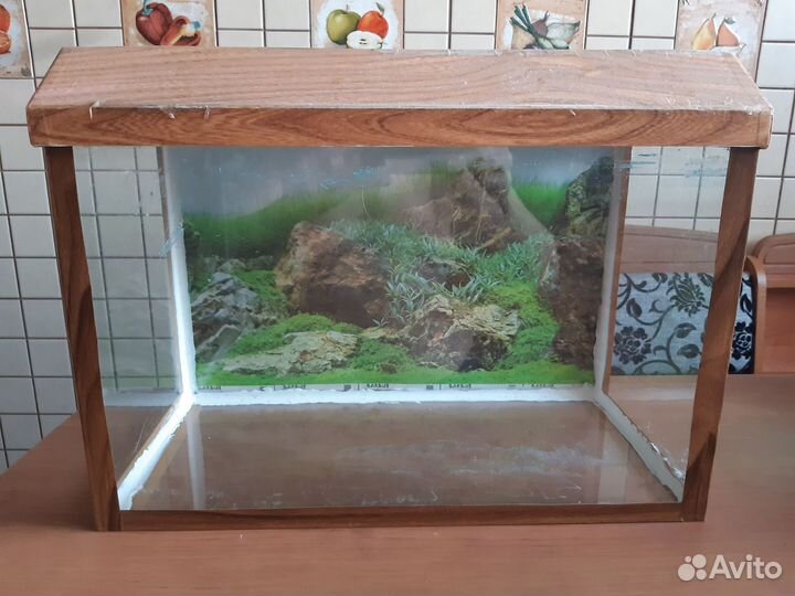Аквариум