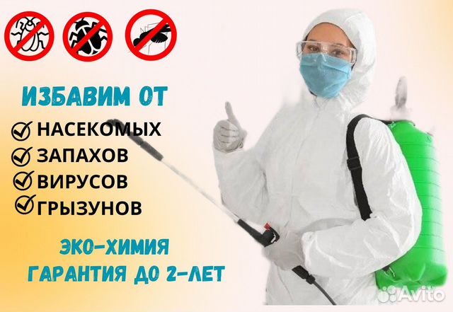 Клоп новосибирск