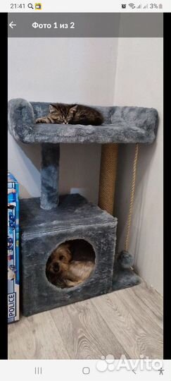 Домик для кошки,когтеточка новый