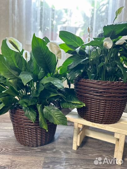 Кашпо напольное из ротанга 12 л коричневое