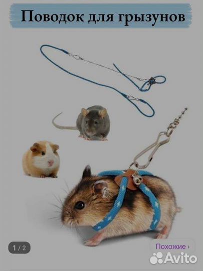 Набор для хомяка