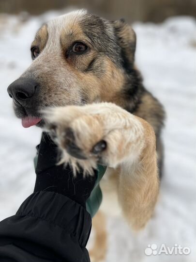Машуня угосает в вольере