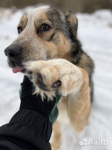 Машуня угосает в вольере