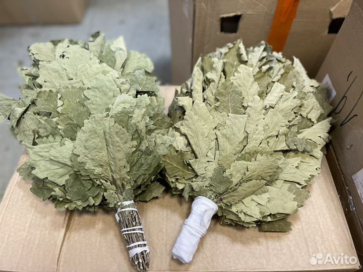 Дубовые веники. Веники и травы для бани