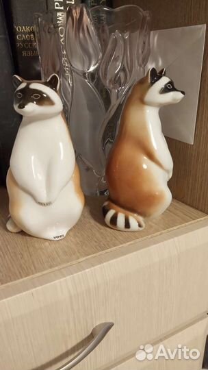 Лфз фарфор,енот