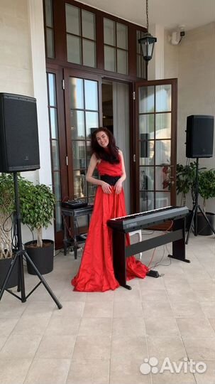 Концерт у Вас дома,в квартире,на даче