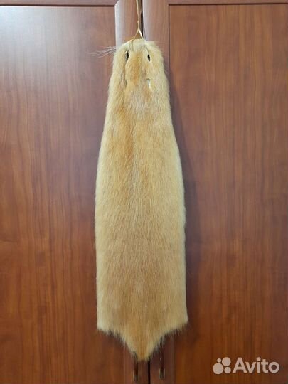 Шкурка нутрии