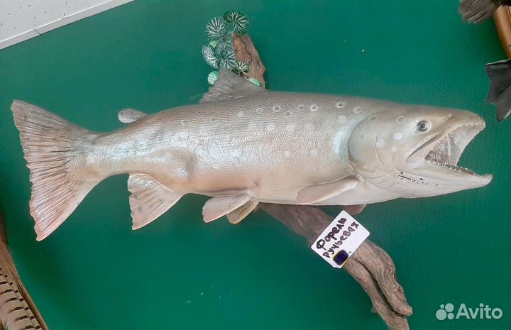 Чучело рыбы