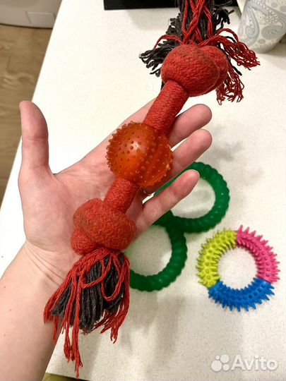 Игрушки для собак бу