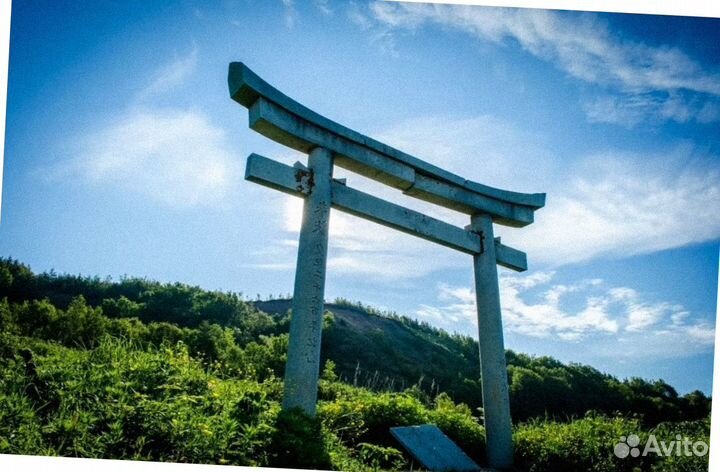 Путевка Сахалин летом экспедиции до 8 дн