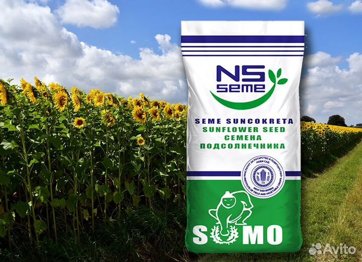 Семена подсолнечника гибрида нс Х 6007 (Экспресс)