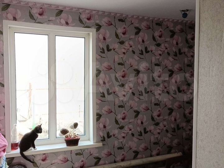 Дом 44 м² на участке 16 сот.