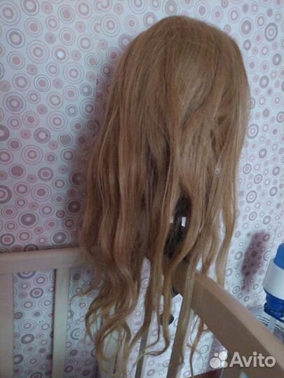 Голова учебная новая