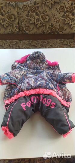 Одежда для собак