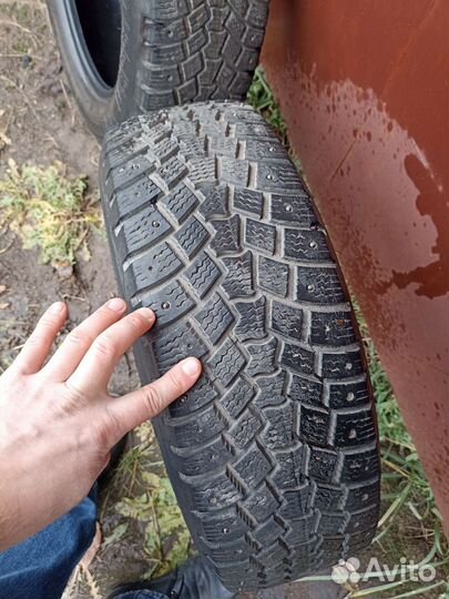 Kleber Kapnor 5 185/65 R15