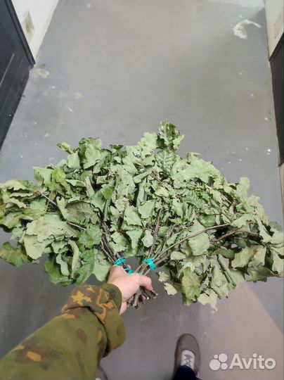 Банные веники