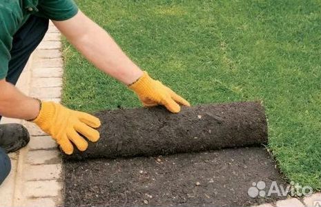 Гидропосев