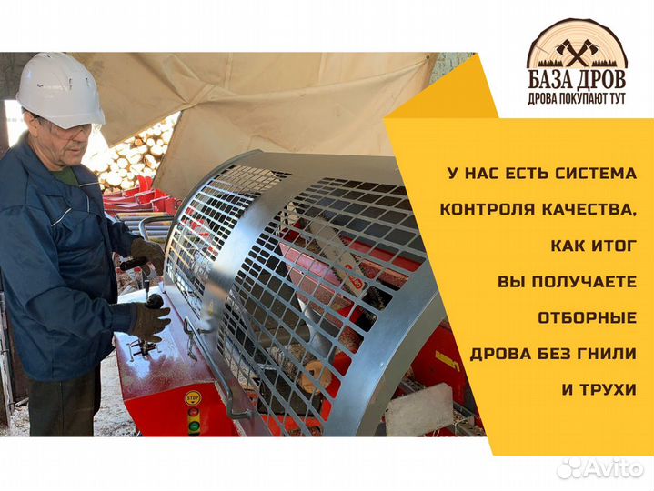 Дрова березовые