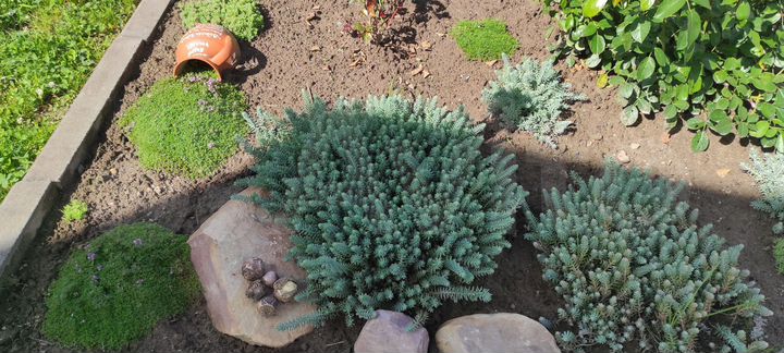 Дом 73,2 м² на участке 11 сот.