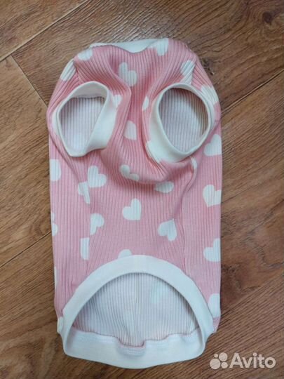 Одежда для собак