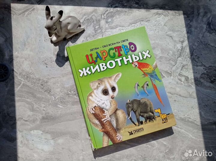 Книга Царство животных 2004