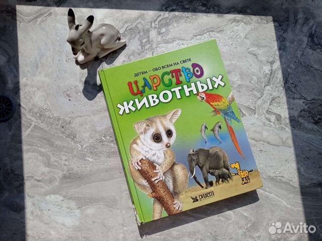 Книга Царство животных 2004