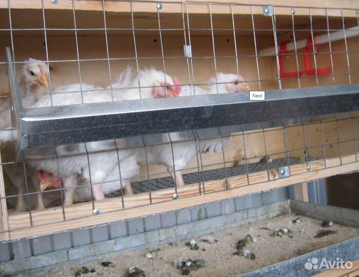 Клетка для бройлеров Профи поилка кормушка поддон